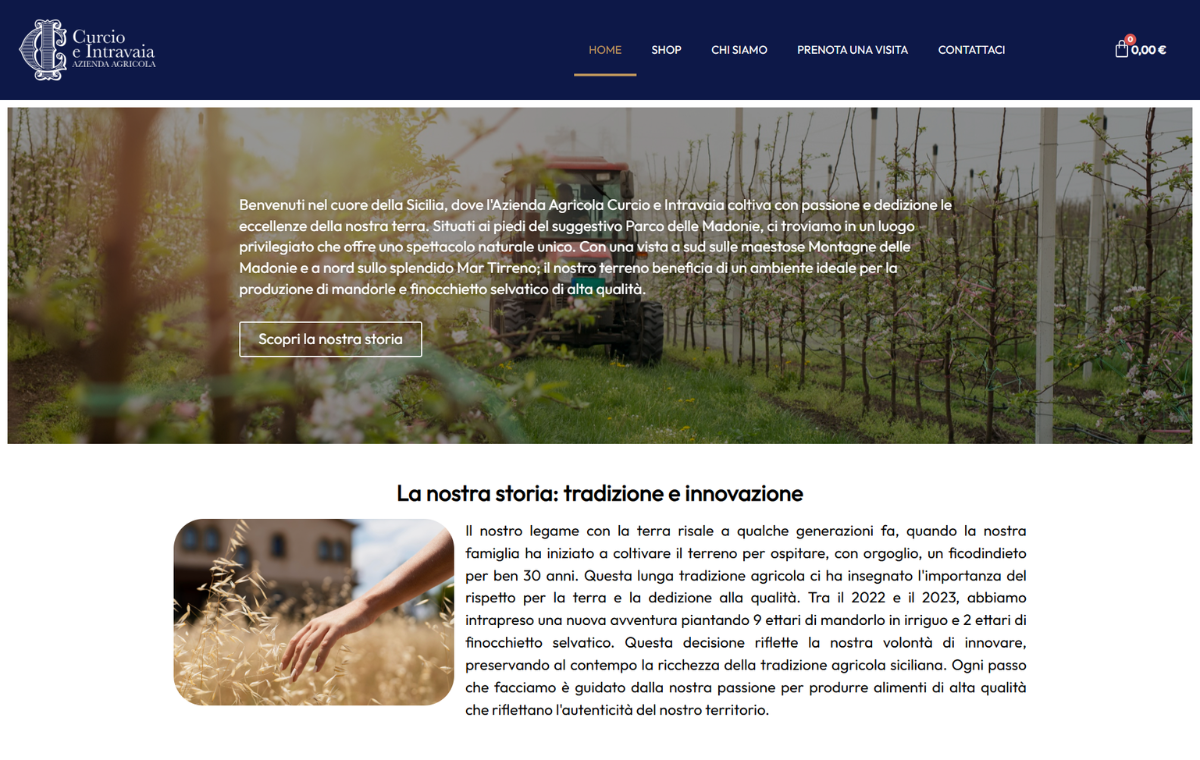 Curcio & Intravaia